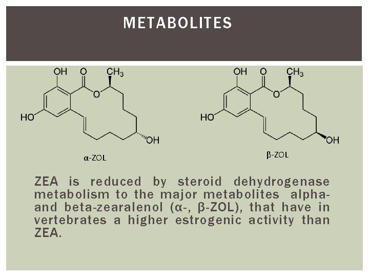 METABOLITES α-ZOL β-ZOL ZEA is reduced by steroid dehydrogenase metabolism to the major metabolites