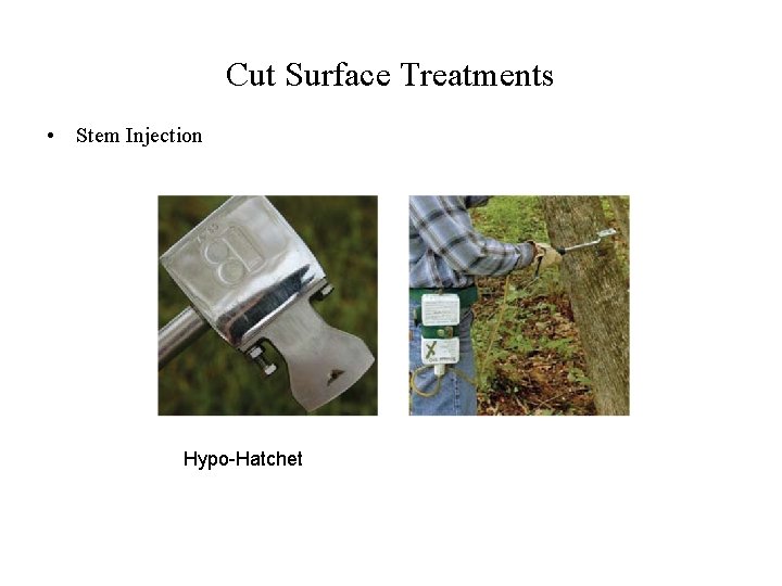 Cut Surface Treatments • Stem Injection Hypo-Hatchet 