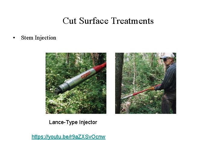 Cut Surface Treatments • Stem Injection Lance-Type Injector https: //youtu. be/r 9 a. ZXSv.