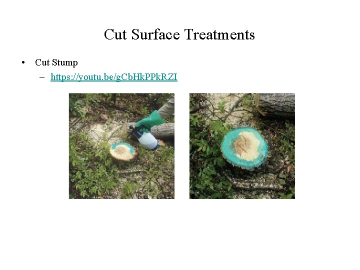 Cut Surface Treatments • Cut Stump – https: //youtu. be/g. Cb. Hk. PPk. RZI