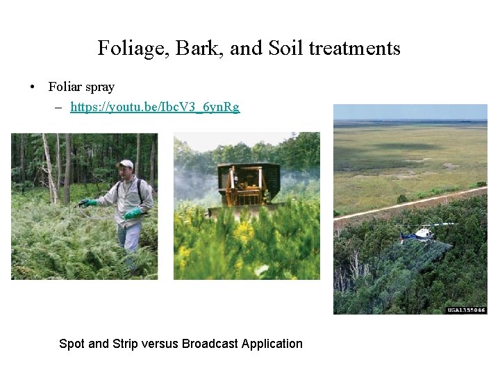 Foliage, Bark, and Soil treatments • Foliar spray – https: //youtu. be/Ibc. V 3_6