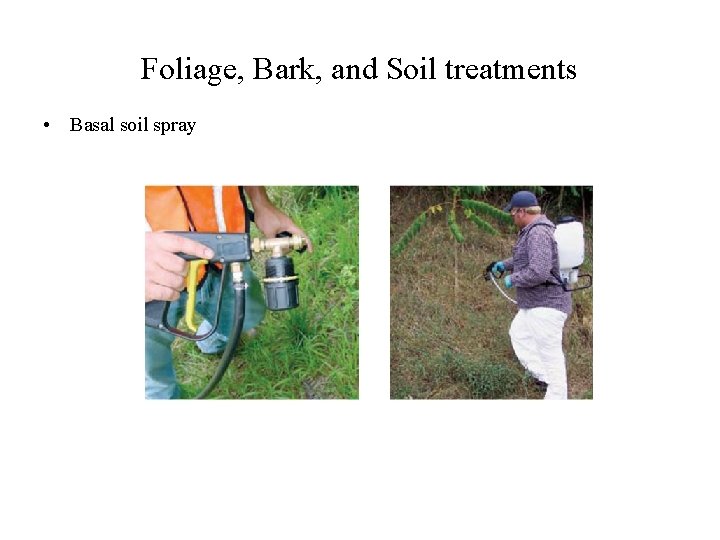 Foliage, Bark, and Soil treatments • Basal soil spray 