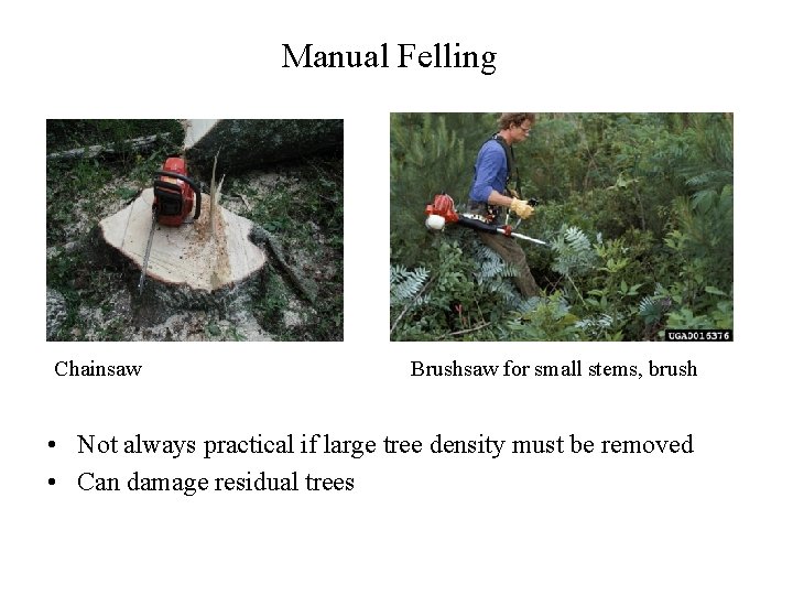 Manual Felling Chainsaw Brushsaw for small stems, brush • Not always practical if large