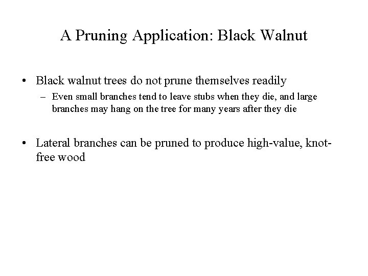 A Pruning Application: Black Walnut • Black walnut trees do not prune themselves readily