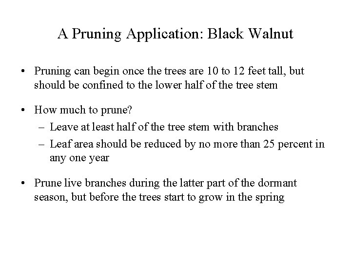 A Pruning Application: Black Walnut • Pruning can begin once the trees are 10