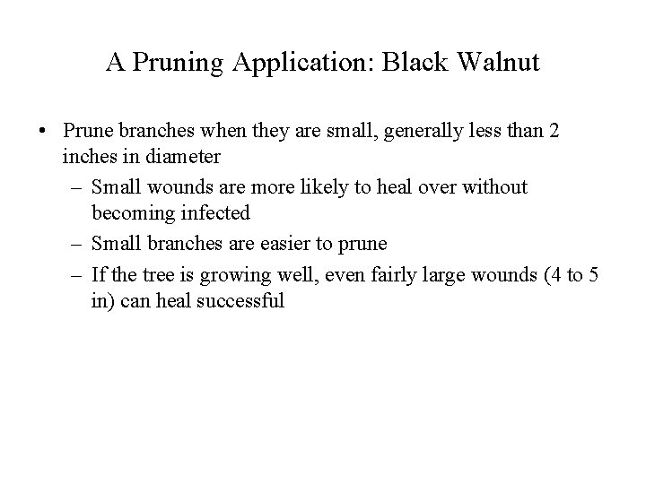 A Pruning Application: Black Walnut • Prune branches when they are small, generally less