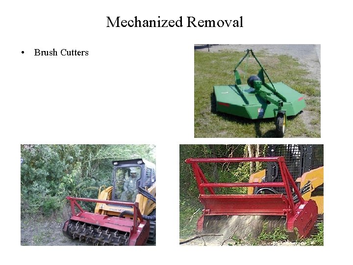 Mechanized Removal • Brush Cutters 