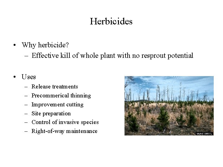 Herbicides • Why herbicide? – Effective kill of whole plant with no resprout potential