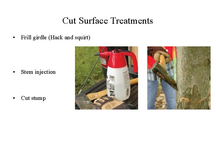 Cut Surface Treatments • Frill girdle (Hack and squirt) • Stem injection • Cut