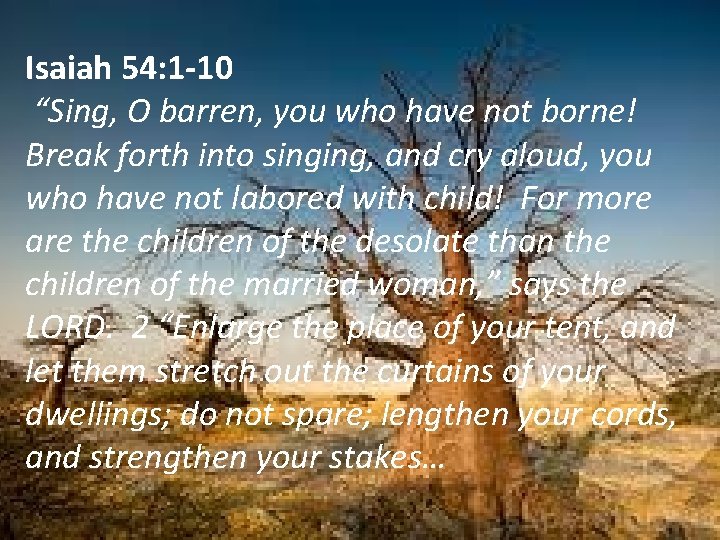 From Barrenness To Fruitfulness God Has Some Very