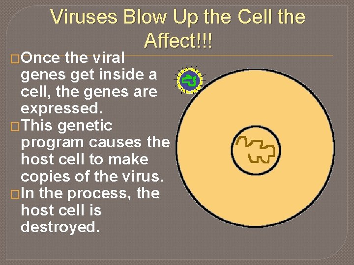 Viruses Blow Up the Cell the Affect!!! �Once the viral genes get inside a