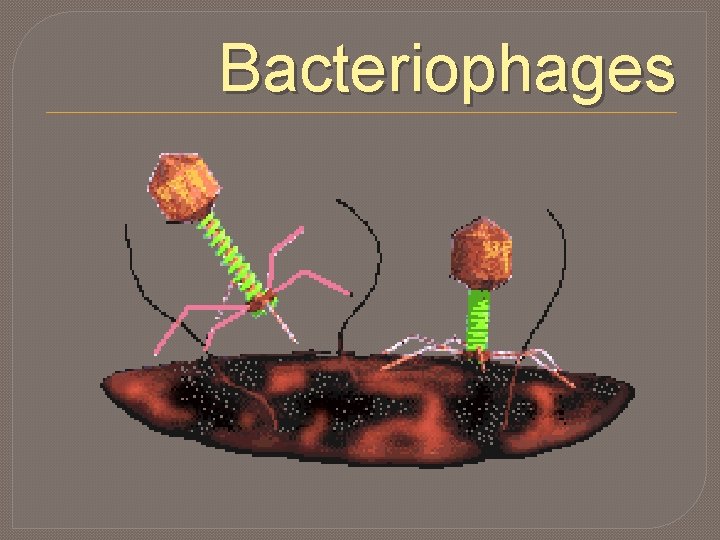 Bacteriophages 