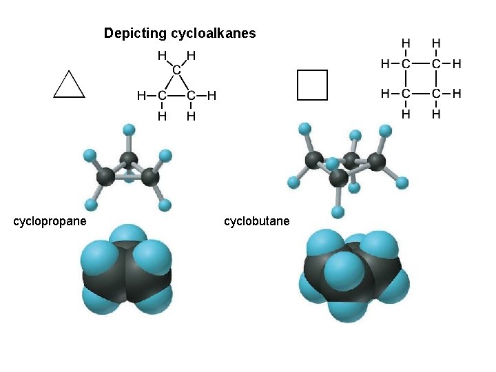 Depicting cycloalkanes cyclopropane cyclobutane 