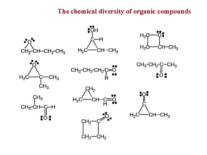 The chemical diversity of organic compounds 