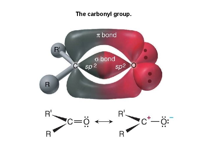 The carbonyl group. 