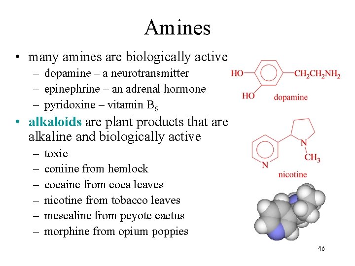 Amines • many amines are biologically active – dopamine – a neurotransmitter – epinephrine