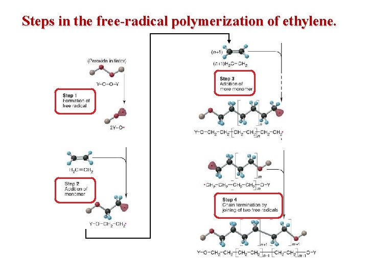 Steps in the free-radical polymerization of ethylene. 