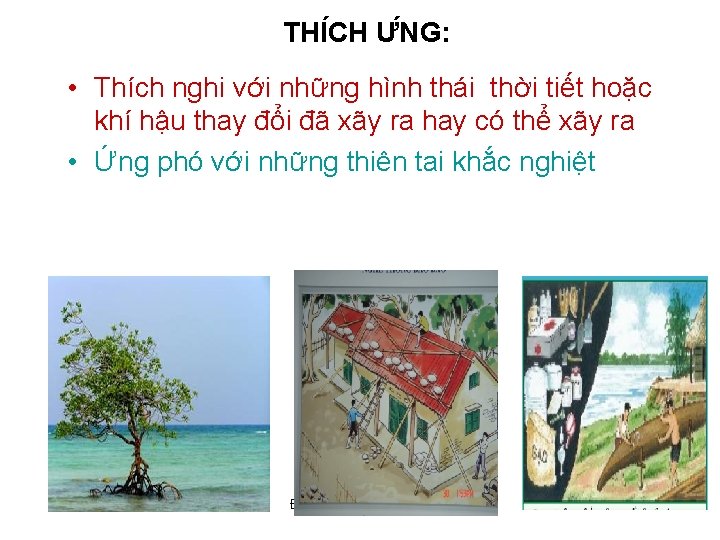 THI CH Ư NG: • Thích nghi với những hình thái thời tiết hoặc