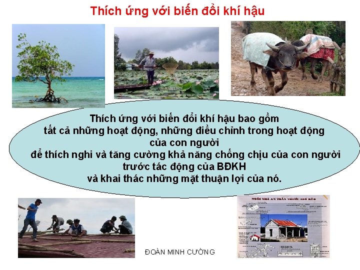 Thích ứng với biến đổi khí hậu bao gồm tất cả những hoạt động,