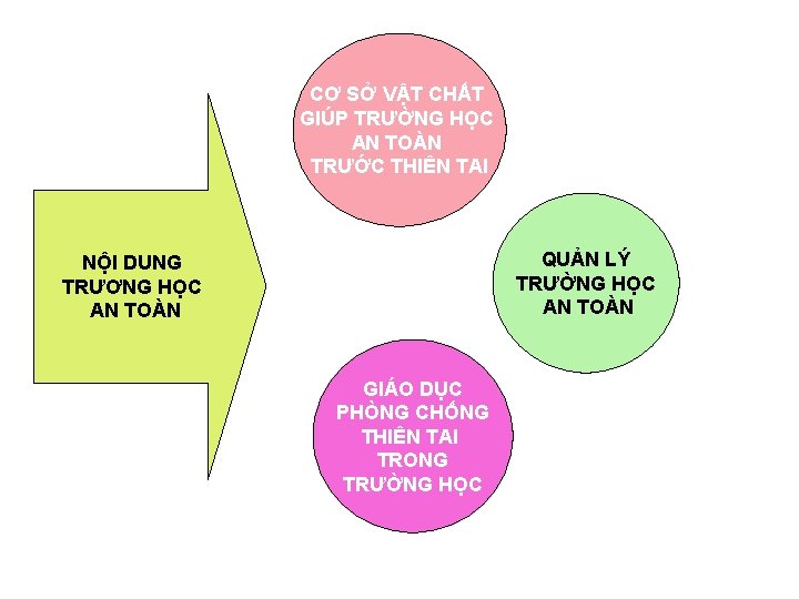 CƠ SỞ VẬT CHẤT GIÚP TRƯỜNG HỌC AN TOÀN TRƯỚC THIÊN TAI QUẢN LÝ