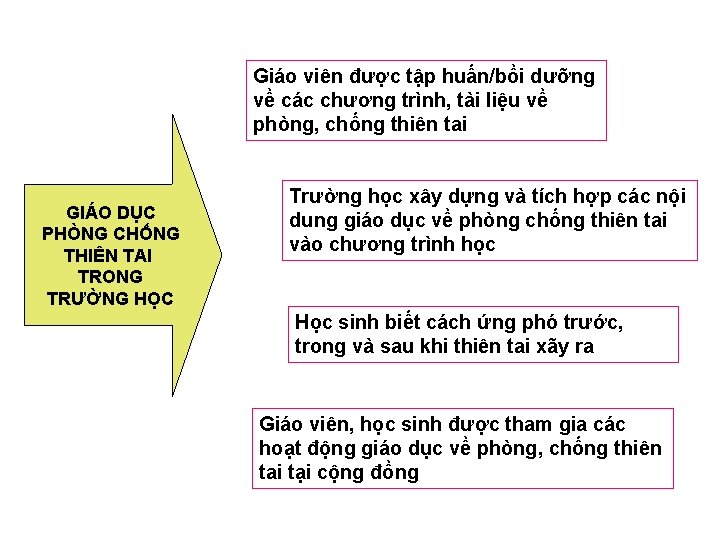 Giáo viên được tập huấn/bồi dưỡng về các chương trình, tài liệu về phòng,