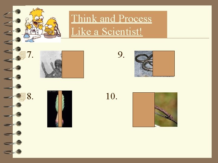 Think and Process Like a Scientist! 4 7. 4 8. 9. 10. 