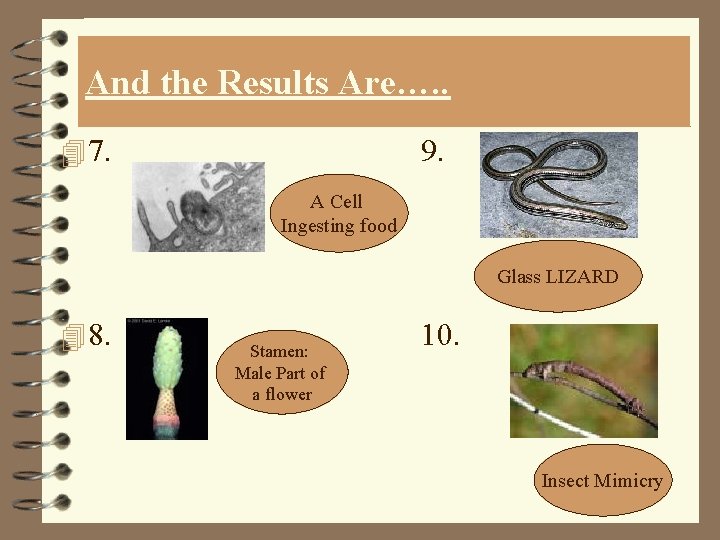 And the Results Are…. . 4 7. 9. A Cell Ingesting food Glass LIZARD