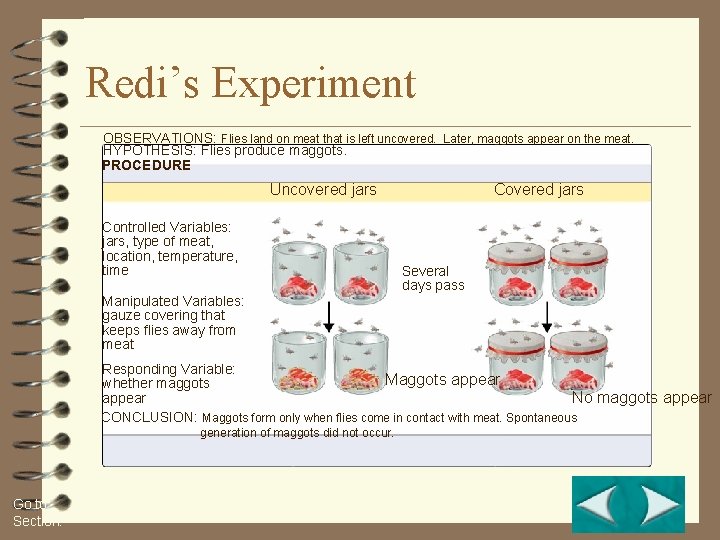 Figure 1 -8 Redi’s Experiment on Spontaneous Generation Redi’s Experiment Section 1 -2 OBSERVATIONS: