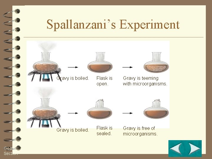 Section 1 -2 Go to Section: Figure 1 -10 Spallanzani’s Experiment Gravy is boiled.