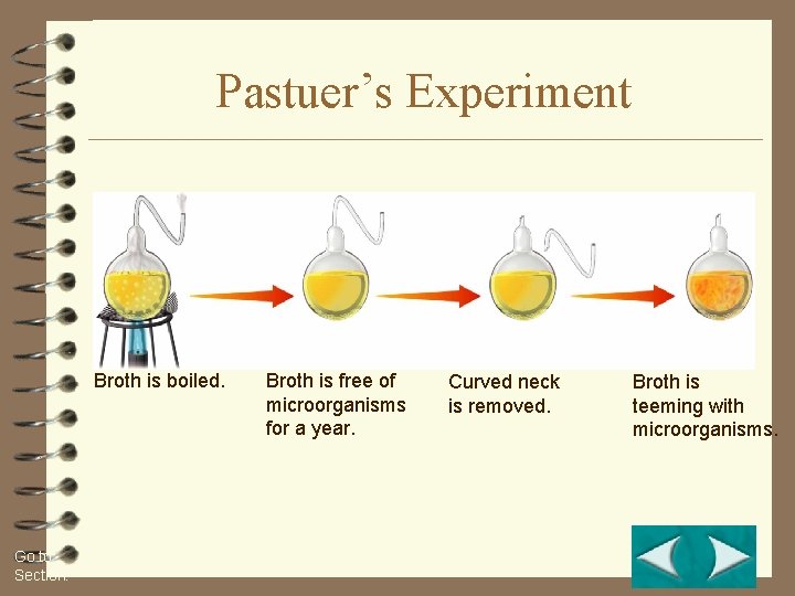 Figure 1 -11 Pasteur’s Experiment Section 1 -2 Pastuer’s Experiment Broth is boiled. Go