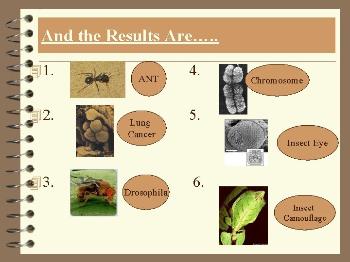 And the Results Are…. . 4 1. 4 2. 4 3. ANT Lung Cancer