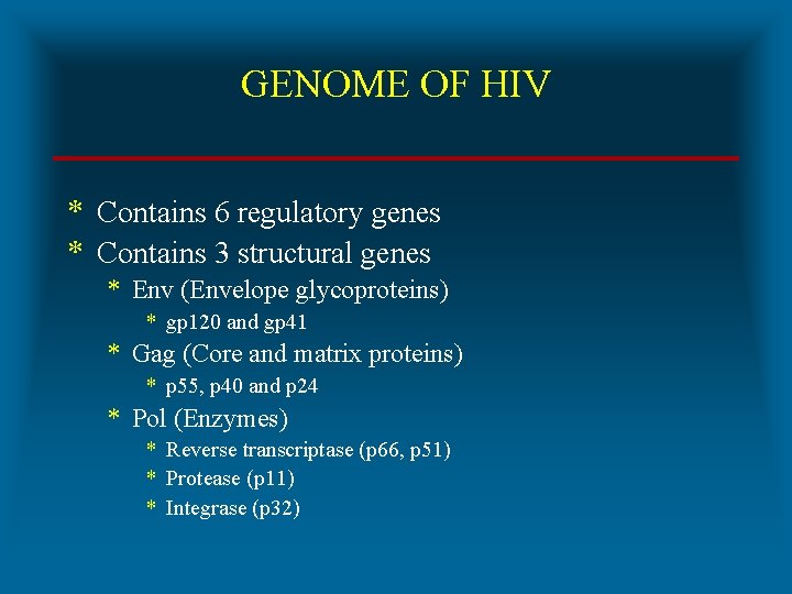 GENOME OF HIV * Contains 6 regulatory genes * Contains 3 structural genes *