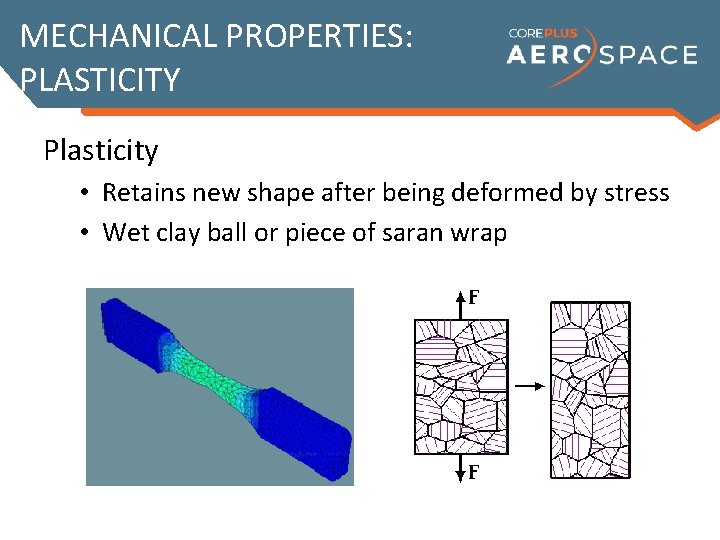 MECHANICAL PROPERTIES: PLASTICITY Plasticity • Retains new shape after being deformed by stress •