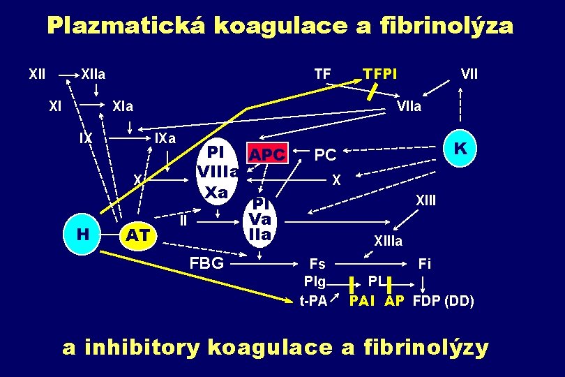 Plazmatická koagulace a fibrinolýza XII XIIa TF TFPI VII XIa VIIa IXa K Pl