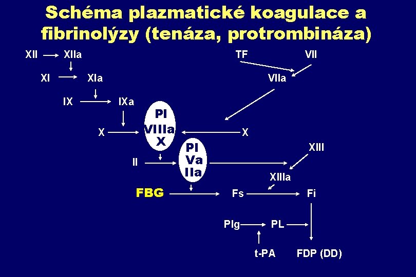 Schéma plazmatické koagulace a fibrinolýzy (tenáza, protrombináza) XII XIIa TF VII XIa VIIa IXa