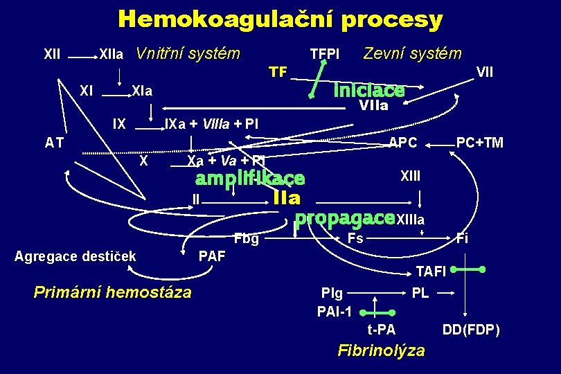 Hemokoagulační procesy XII XIIa Vnitřní systém TFPI Zevní systém TF VII XIa VIIa IXa