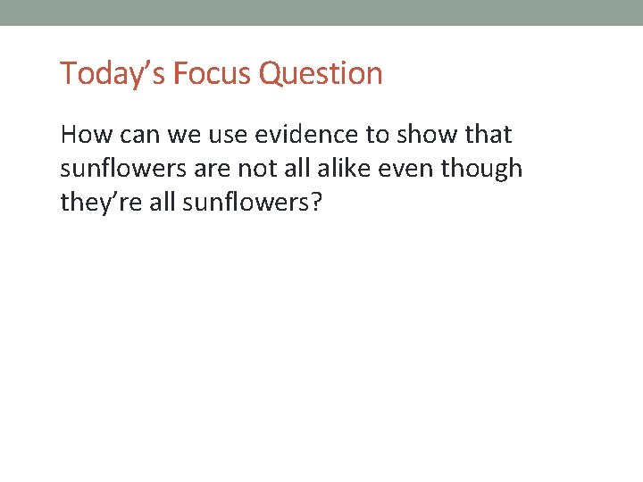 Today’s Focus Question How can we use evidence to show that sunflowers are not