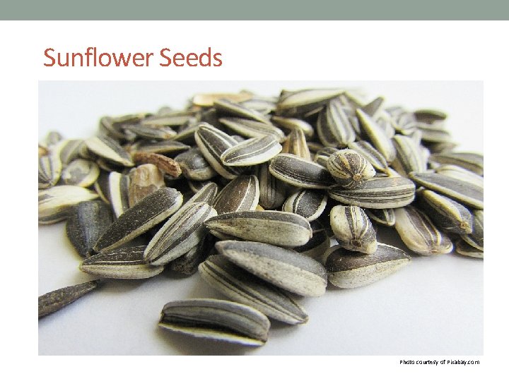 Sunflower Seeds Photo courtesy of Pixabay. com 