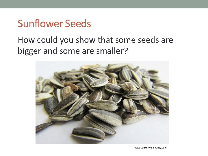 Sunflower Seeds How could you show that some seeds are bigger and some are