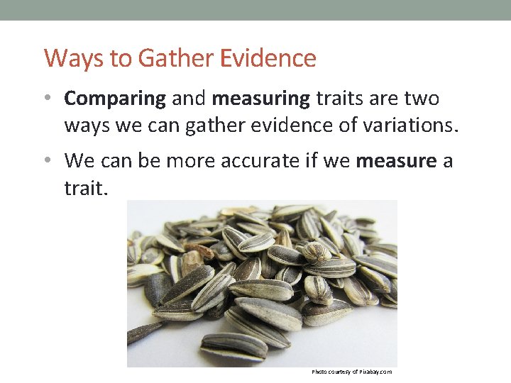 Ways to Gather Evidence • Comparing and measuring traits are two ways we can