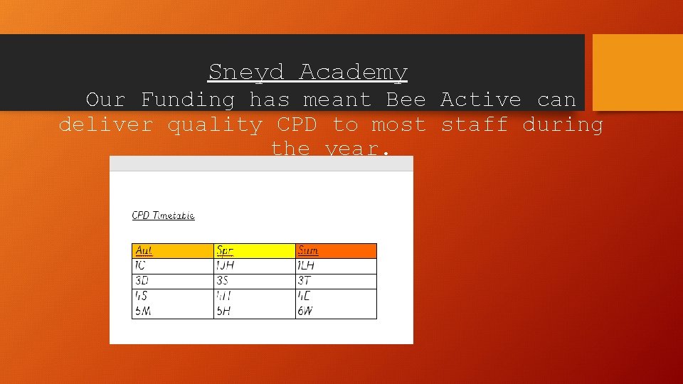 Sneyd Academy Our Funding has meant Bee Active can deliver quality CPD to most