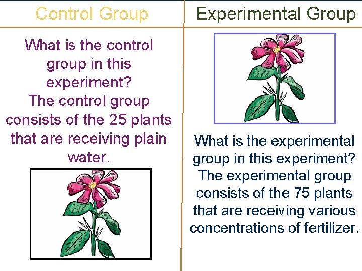 Control Group What is the control group in this experiment? The control group consists