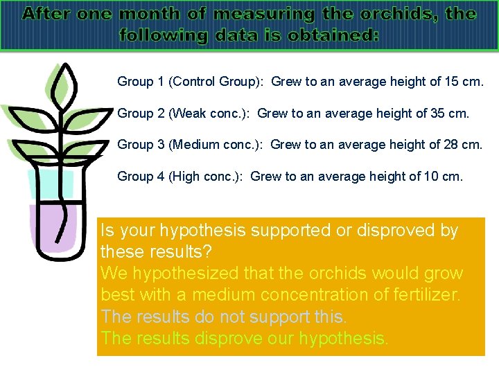 Group 1 (Control Group): Grew to an average height of 15 cm. Group 2