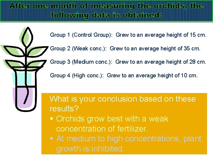 Group 1 (Control Group): Grew to an average height of 15 cm. Group 2