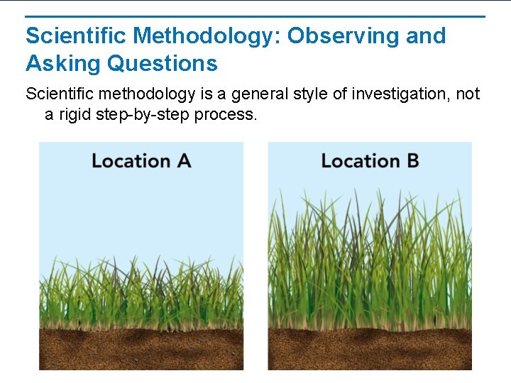 Scientific Methodology: Observing and Asking Questions Scientific methodology is a general style of investigation,