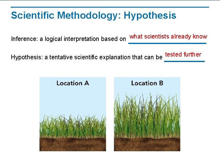 Scientific Methodology: Hypothesis Inference: a logical interpretation based on what scientists already know Hypothesis: