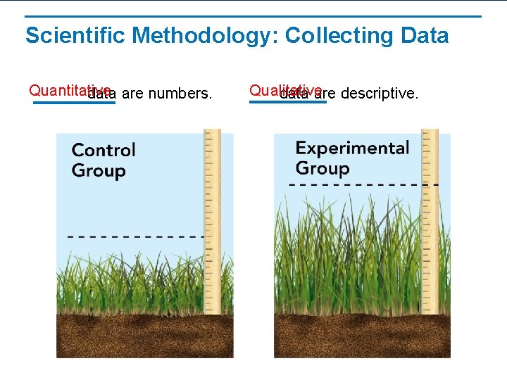 Scientific Methodology: Collecting Data Quantitative data are numbers. Qualitative data are descriptive. 