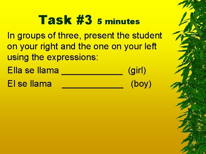 Task #3 5 minutes In groups of three, present the student on your right