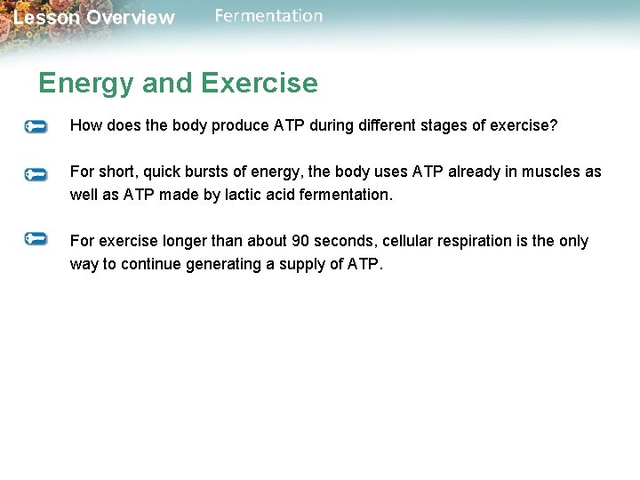 Lesson Overview Fermentation Energy and Exercise How does the body produce ATP during different