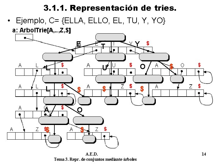 3. 1. 1. Representación de tries. • Ejemplo, C= {ELLA, ELLO, EL, TU, Y,